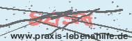 Ungültiger Sicherheitscode