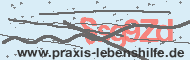 Ungültiger Sicherheitscode