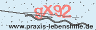 Ungültiger Sicherheitscode