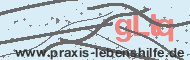 Ungültiger Sicherheitscode