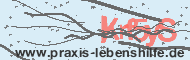 Ungültiger Sicherheitscode