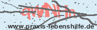 Ungültiger Sicherheitscode