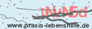 Ungültiger Sicherheitscode