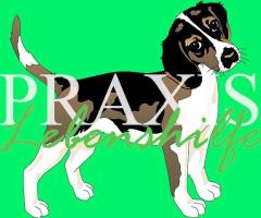 Grundlagen des Hundetrainings