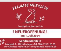 Hundefriseursalon Felloase Merklein - Ihre Stylistin für alle Felle