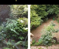 Hecke schneiden in Weissach, Leonberg & Umgebung